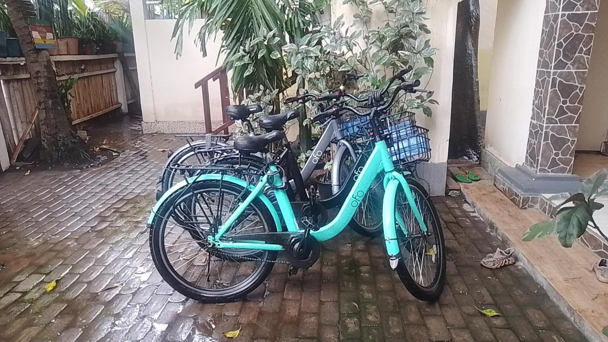 Mangga Homestay Gili Air Exterior foto